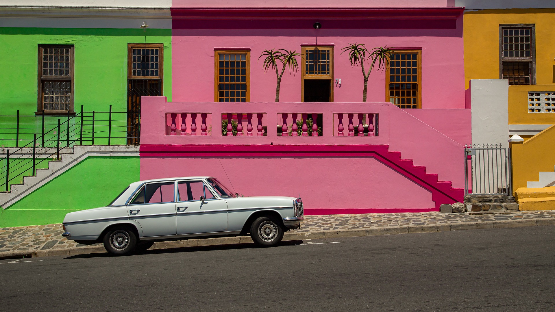 À la rencontre de l’Afrique du Sud