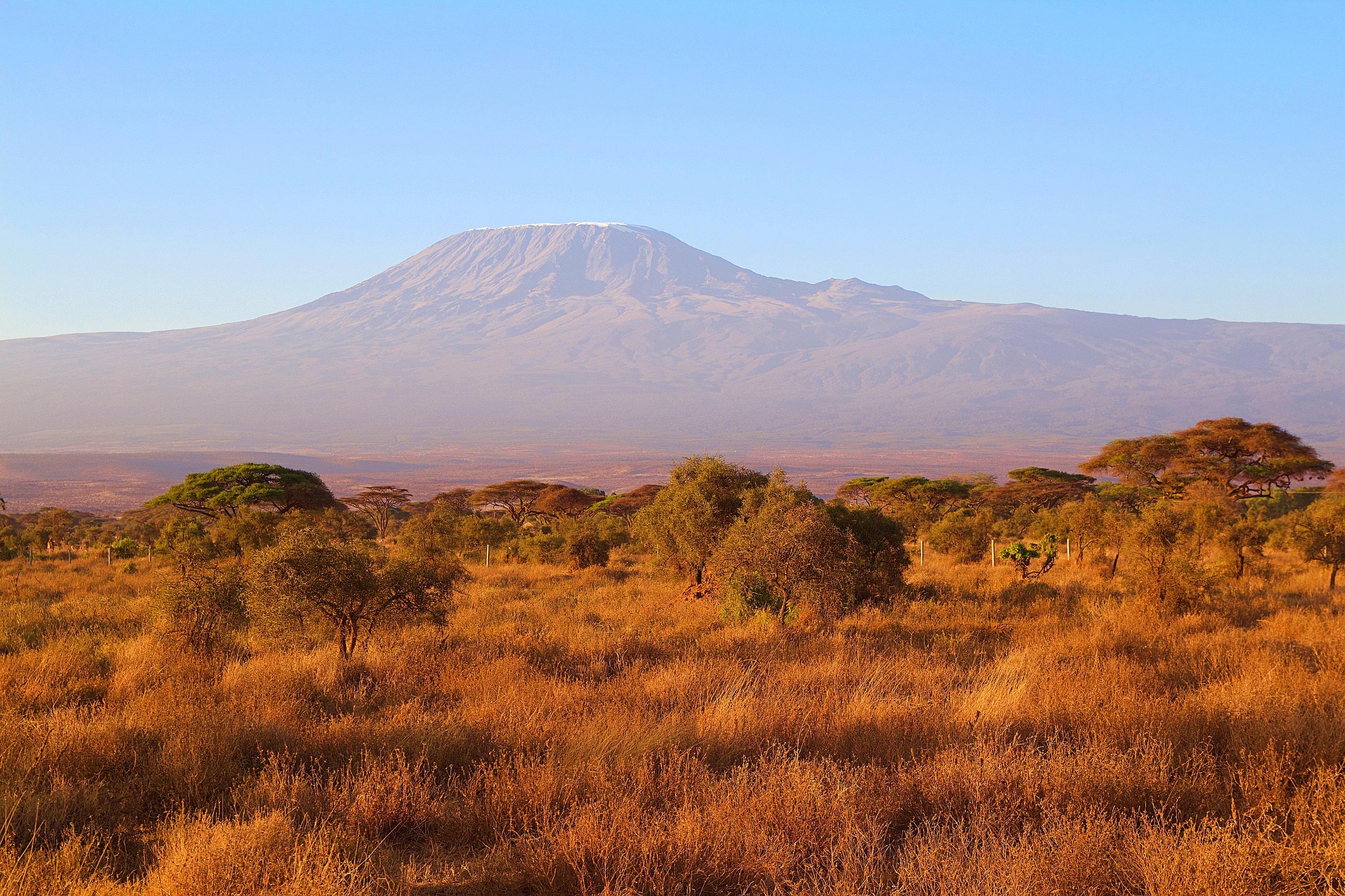 Tanzanie