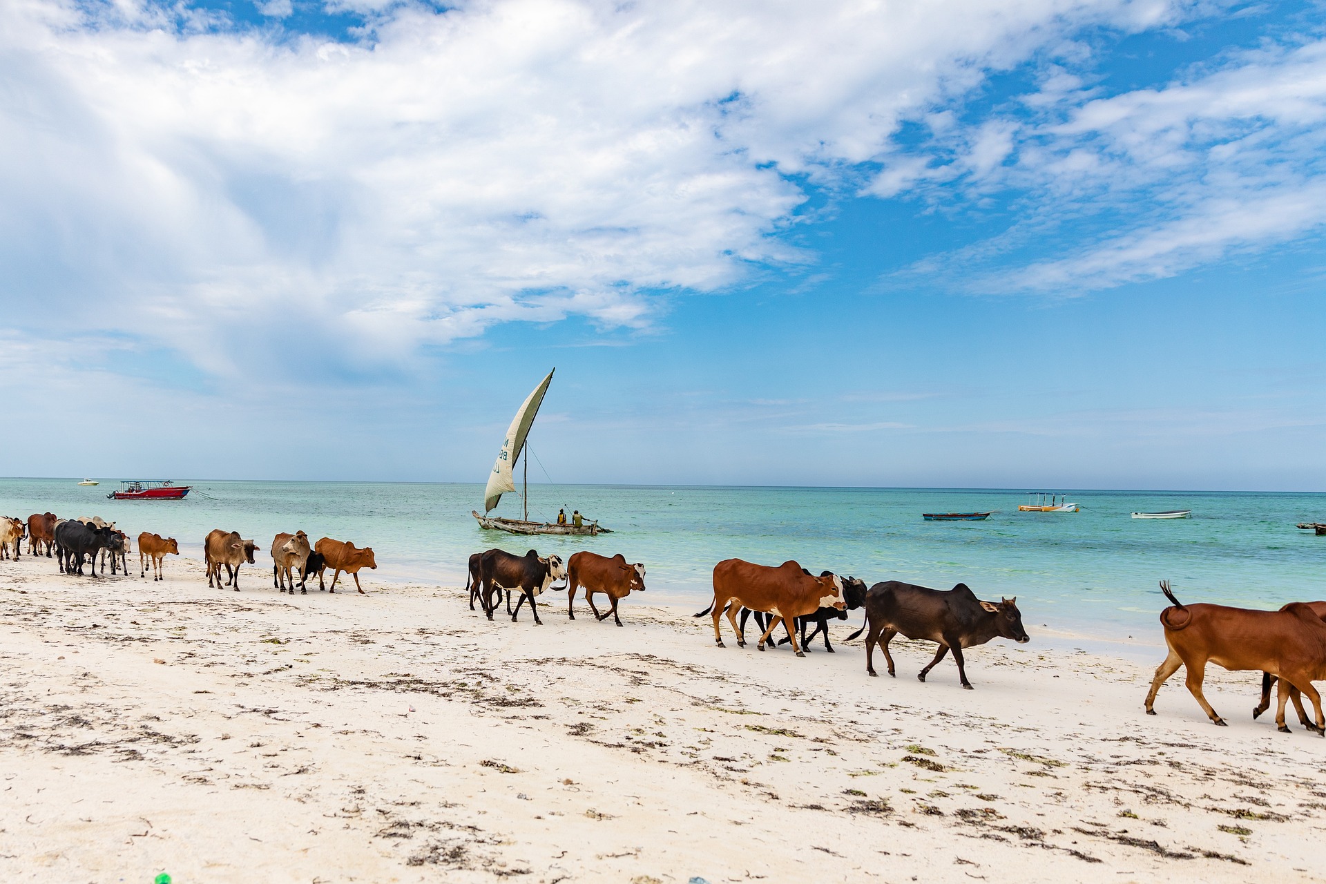 L’essentiel de la Tanzanie & Zanzibar